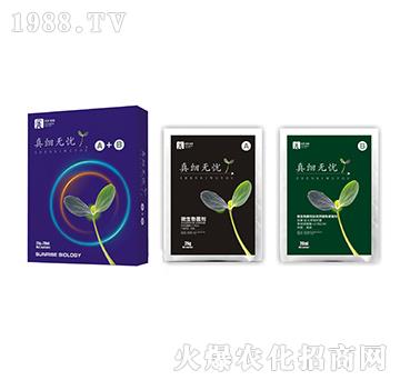 ΢�������-�漚(x��)�o(w��)�nA+B-��������