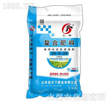 �����������ȏ�(f��)�Ϸ���20-5-20���S-������