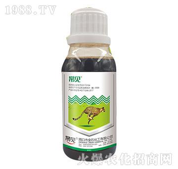 20%���ݿ�-��Ҋ-��ʯ����