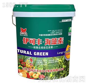 ̼ø������������-�����S��������-����