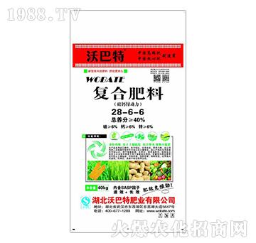 40kg��(f��)�Ϸ���28-6-6-�ְ���