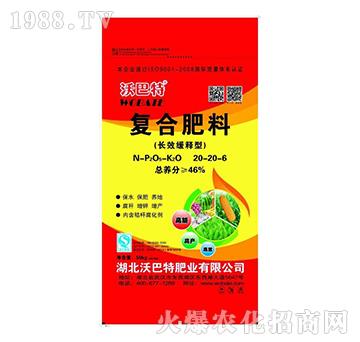 �L(zh��ng)Ч����͏�(f��)�Ϸ���20-20-6-�ְ���