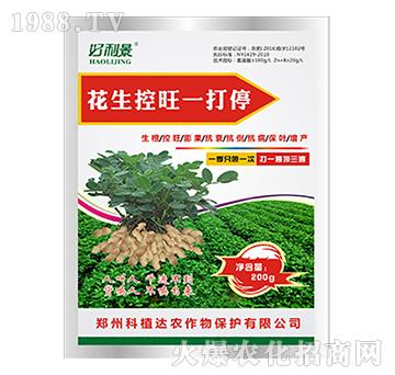 ��������һ��ͣ-������-��ֲ�_(d��)