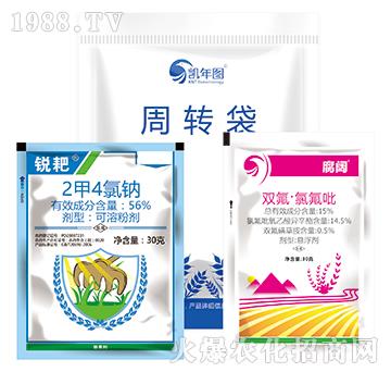 С������݄�-���2̖-�P��D