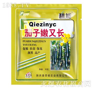 茄子嫩又長(zhǎng)-碧能-普思頓農(nóng)業(yè)