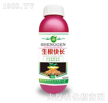 生根快長(zhǎng)-普思頓農(nóng)業(yè)