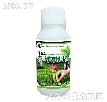 茶葉催芽綠葉劑-杰翔生物