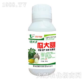 瓜大甜-綠禾豐-杰翔生物