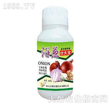 多元營(yíng)養(yǎng)液-洋蔥壯大寶-杰翔生物