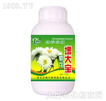 菊花增大寶-杰翔生物