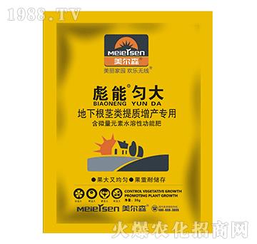 ���¸��o����|���a����