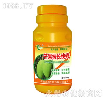 芒果拉長(zhǎng)快線-杰翔生物