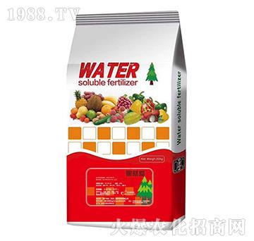 果然愛-亞礦中聯(lián)