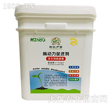 ø�������M��-���𻯹�