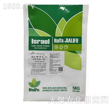 ƽ���͏�(f��)�Ϸ���20-20-20+TE-����������2̖-����������