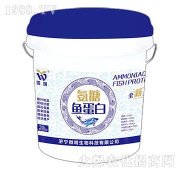 �����~(y��)����-΢������