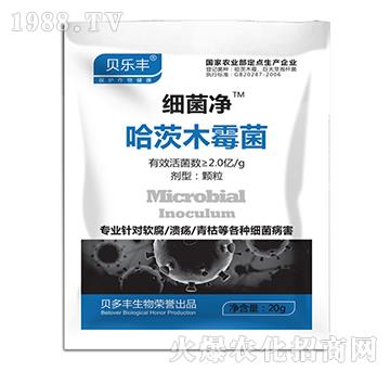 ����ľù��-������-ؐ���S