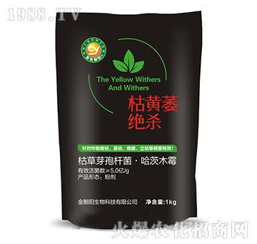 ���Sή�^��-���