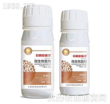 ΢�������-�׸�̿���`-���