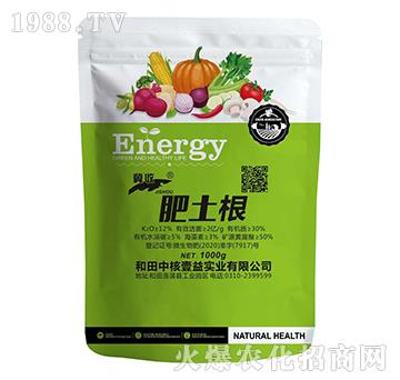 ������-����-�f������