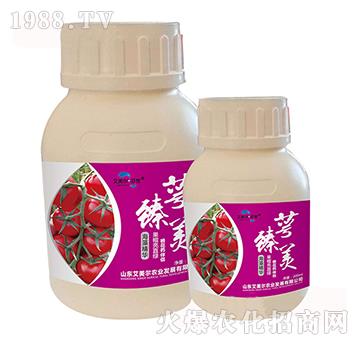 ���徫�A-������-�����������u(y��)-������