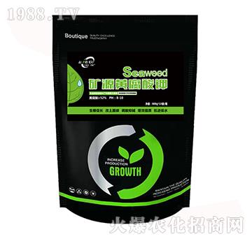 �VԴ�S�����-�����������u(y��)