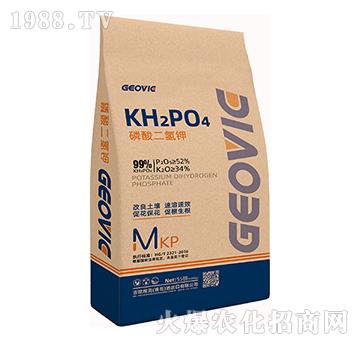 ��������-�A�˱���