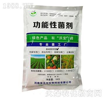 ���A(ch��)�I(y��ng)�B(y��ng)�͹����(l��i)����-�֌�����