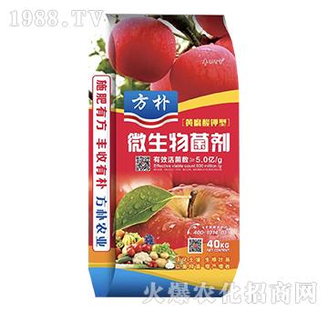 �S�������΢�������-����