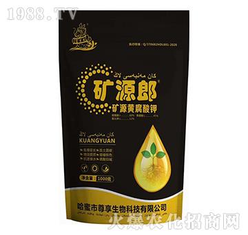 �VԴ�S�����-�VԴ��-��������