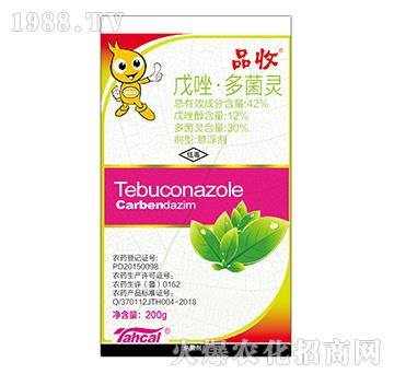 42%���򡤶���`��200�ˣ�-Ʒ��-̩�̻���