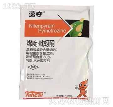 80%ϩड�����ͪ��100�ˣ�-�يZ-̩�̻���