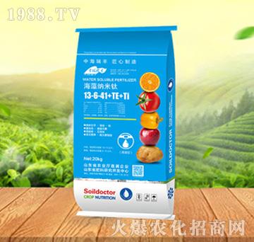 ����{����13-6-41+TE+Ti-���ԁ��