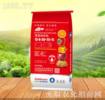 ����{����13-6-36+TE+Ti-���ԁ��