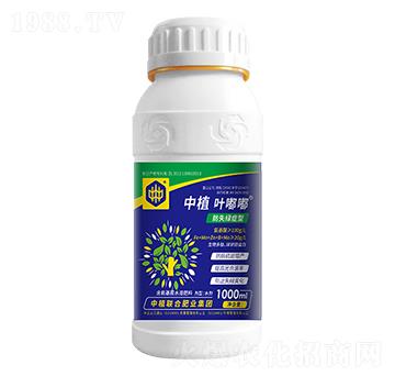 ��ʧ�G�Y����ֲ�~��-��ֲ(li��n)��