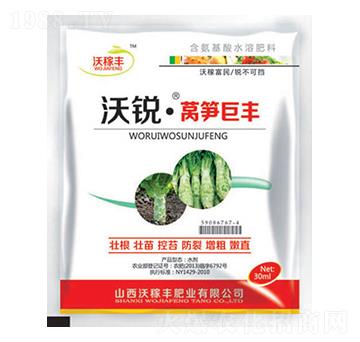 ���J�n�S���S-�ּ��S�ʘI(y��)