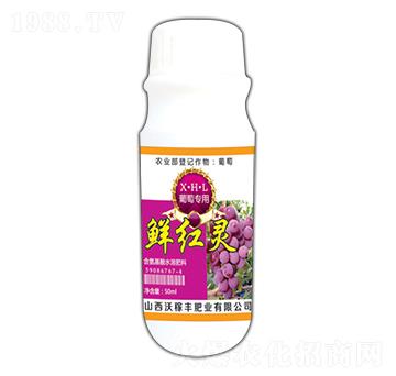 ���ь����r�t�`-�ּ��S�ʘI(y��)