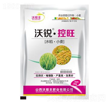 ���J����(ˮ����С��)-�ּ��S�ʘI(y��)