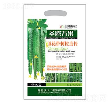 頂花帶刺拉直長(zhǎng)-圣膨萬果-沃天下