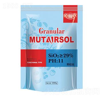 �w����-��֮���r(n��ng)�I(y��)