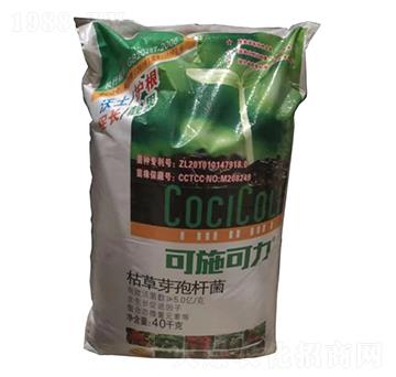 �ݲ�ѿ�ߗU��-��ʩ����-�r(n��ng)֮��