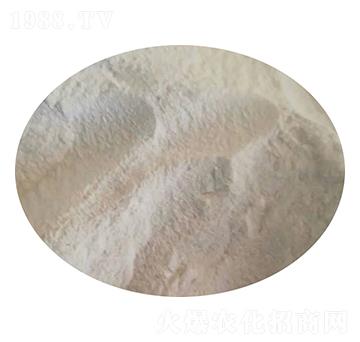 ���Ϸ�ĩ-�r(n��ng)֮��