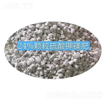 24%�w��������V�����w��-�r(n��ng)֮��