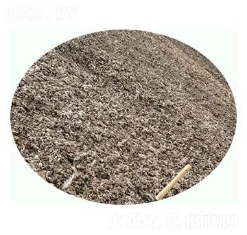 ���u�S-���|�ʘI(y��)