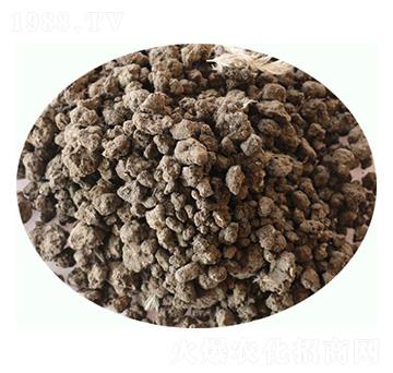 �l(f��)���u�S��-���|�ʘI(y��)