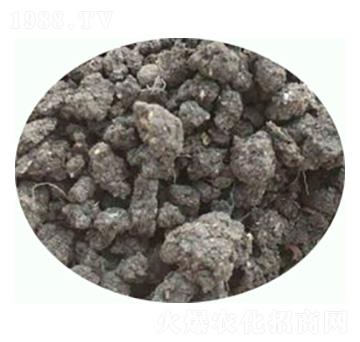 �l(f��)���u�S�ЙC(j��)����-���|�ʘI(y��)