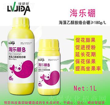 ����(l��)��-������