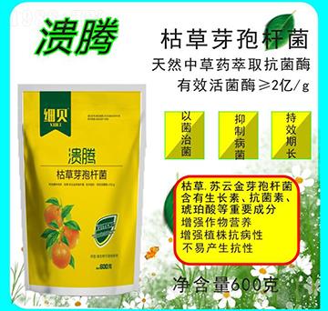 �ݲ�ѿ�ߗU��-���v-������