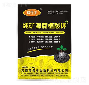 ���VԴ�S�����-�����S