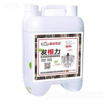 發(fā)根力復(fù)合菌發(fā)酵母液肥-勝凱利